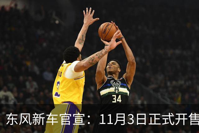 东风新车官宣：11月3日正式开售，纯电续航600km
