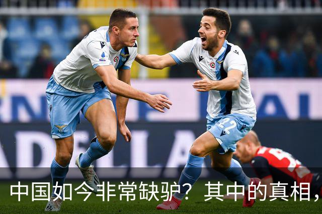 中国如今非常缺驴？其中的真相，比你想象的还要荒诞得多