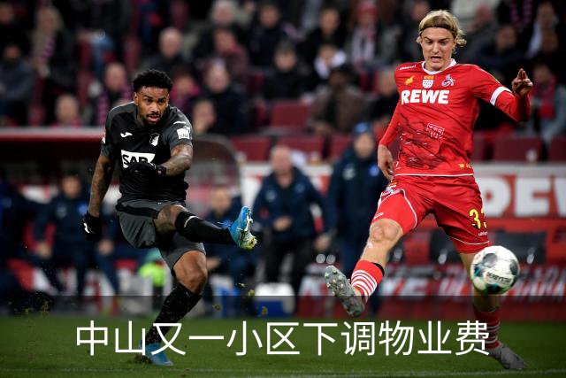 中山又一小区下调物业费