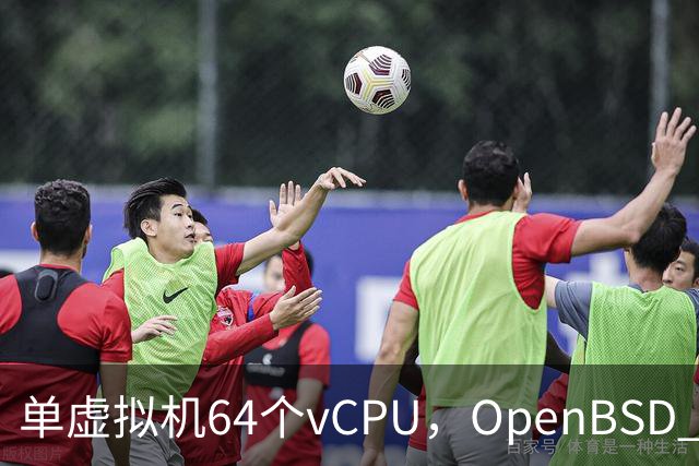 单虚拟机64个vCPU，OpenBSD 8.0把虚拟化拉满了