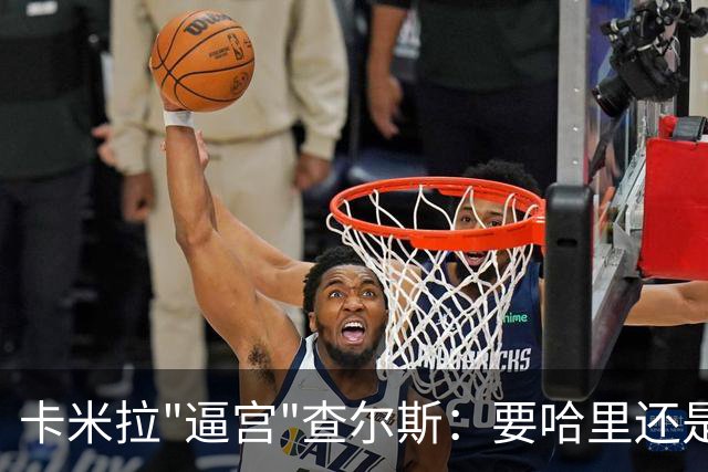 卡米拉"逼宫"查尔斯：要哈里还是要我