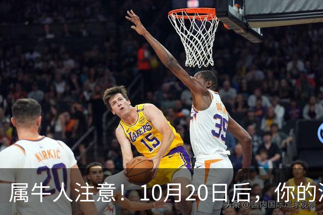 属牛人注意！10月20日后，你的清闲日子要暂时叫停了