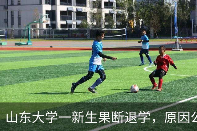 山东大学一新生果断退学，原因公开很现实，网友秒懂去向