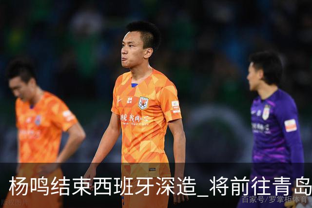 杨鸣结束西班牙深造 将前往青岛观摩男篮集训