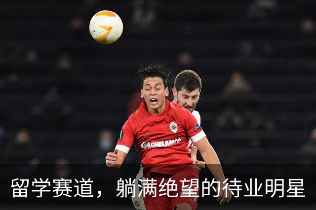 留学赛道，躺满绝望的待业明星