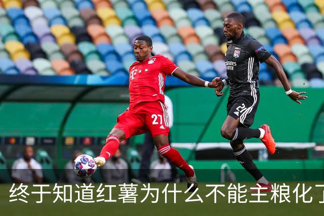 终于知道红薯为什么不能主粮化了，网友道出真相引万人共鸣！