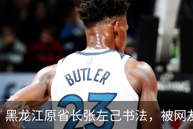 黑龙江原省长张左己书法，被网友们夸上了天，懂行的人却说：不止这水平